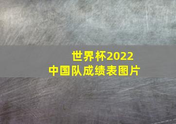 世界杯2022中国队成绩表图片