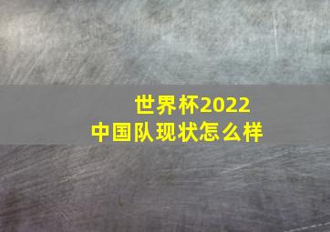 世界杯2022中国队现状怎么样