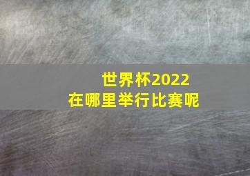 世界杯2022在哪里举行比赛呢