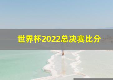 世界杯2022总决赛比分