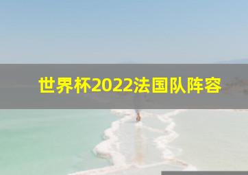 世界杯2022法国队阵容