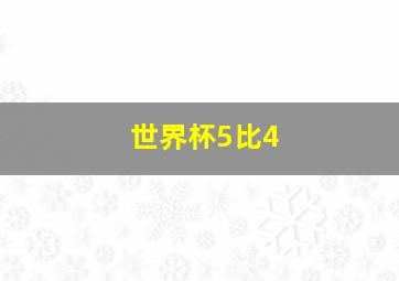 世界杯5比4