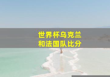 世界杯乌克兰和法国队比分