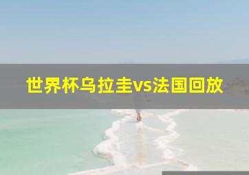 世界杯乌拉圭vs法国回放