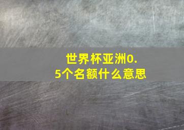 世界杯亚洲0.5个名额什么意思