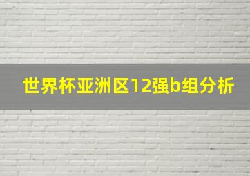 世界杯亚洲区12强b组分析