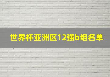 世界杯亚洲区12强b组名单