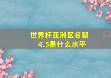 世界杯亚洲区名额4.5是什么水平