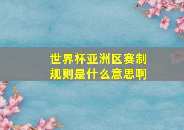 世界杯亚洲区赛制规则是什么意思啊