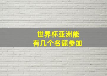 世界杯亚洲能有几个名额参加