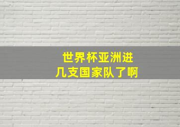 世界杯亚洲进几支国家队了啊