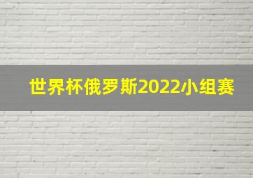 世界杯俄罗斯2022小组赛