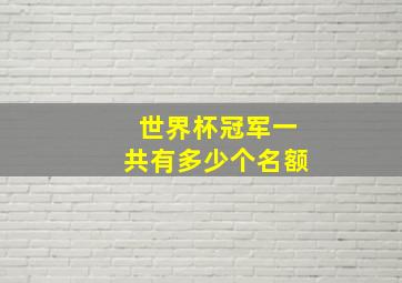 世界杯冠军一共有多少个名额