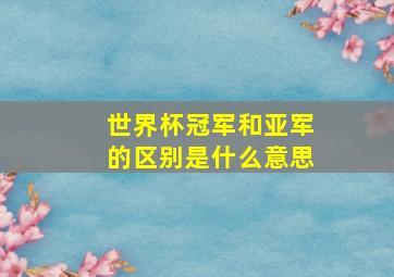 世界杯冠军和亚军的区别是什么意思