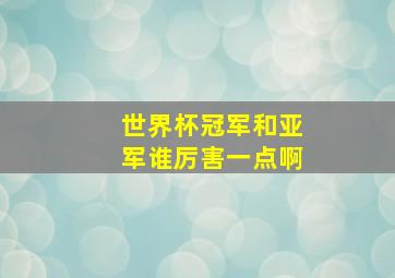 世界杯冠军和亚军谁厉害一点啊