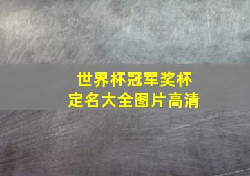 世界杯冠军奖杯定名大全图片高清