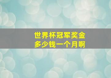 世界杯冠军奖金多少钱一个月啊