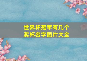 世界杯冠军有几个奖杯名字图片大全