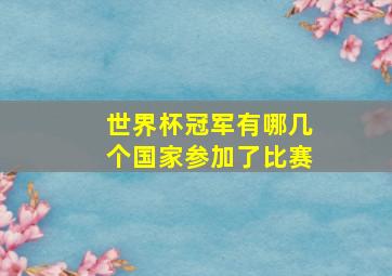 世界杯冠军有哪几个国家参加了比赛