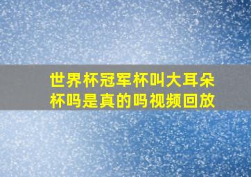 世界杯冠军杯叫大耳朵杯吗是真的吗视频回放