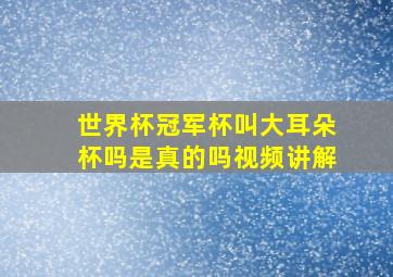 世界杯冠军杯叫大耳朵杯吗是真的吗视频讲解