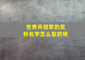 世界杯冠军的奖杯名字怎么取的呀