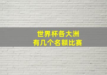 世界杯各大洲有几个名额比赛