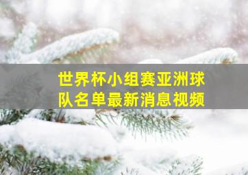 世界杯小组赛亚洲球队名单最新消息视频