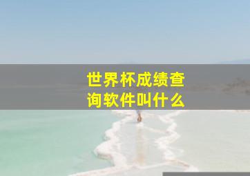 世界杯成绩查询软件叫什么