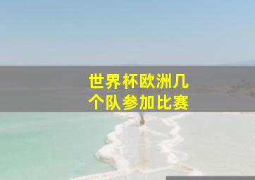 世界杯欧洲几个队参加比赛