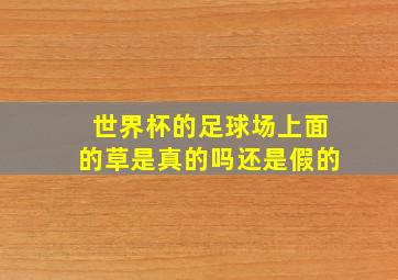 世界杯的足球场上面的草是真的吗还是假的