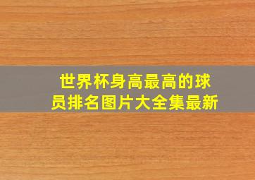 世界杯身高最高的球员排名图片大全集最新