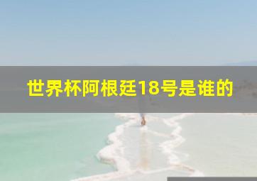 世界杯阿根廷18号是谁的