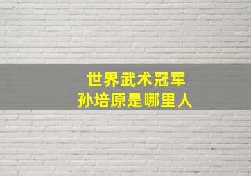 世界武术冠军孙培原是哪里人