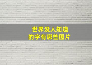 世界没人知道的字有哪些图片