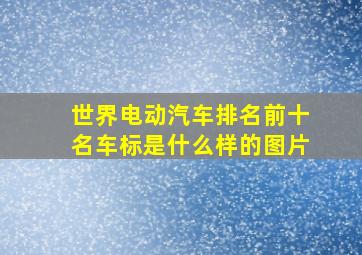 世界电动汽车排名前十名车标是什么样的图片