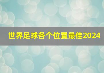 世界足球各个位置最佳2024