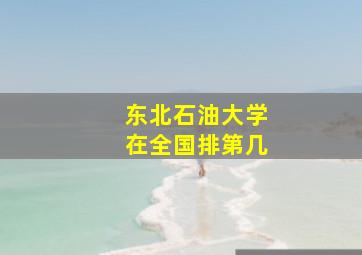 东北石油大学在全国排第几