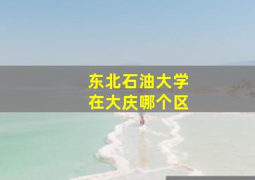 东北石油大学在大庆哪个区