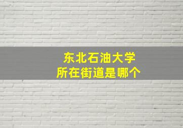 东北石油大学所在街道是哪个