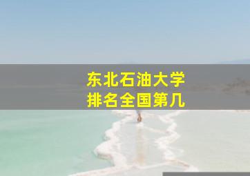 东北石油大学排名全国第几