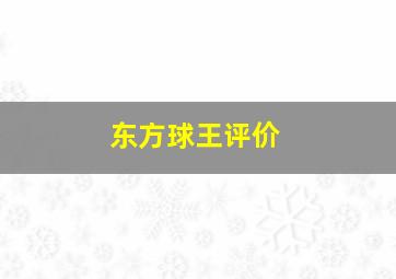 东方球王评价