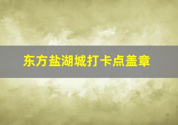 东方盐湖城打卡点盖章