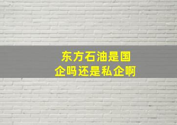 东方石油是国企吗还是私企啊