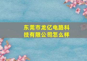 东莞市龙亿电路科技有限公司怎么样