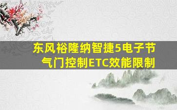 东风裕隆纳智捷5电子节气门控制ETC效能限制