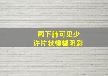 两下肺可见少许片状模糊阴影