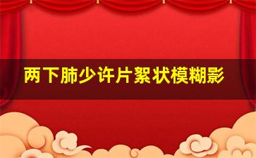 两下肺少许片絮状模糊影