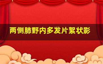 两侧肺野内多发片絮状影