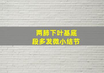 两肺下叶基底段多发微小结节